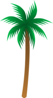 nature & Palm tree free transparent png image.