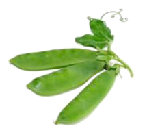 vegetables & Pea free transparent png image.