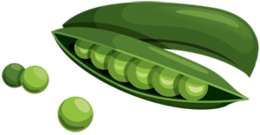 vegetables & pea free transparent png image.