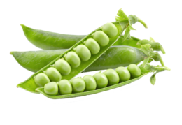 vegetables & Pea free transparent png image.