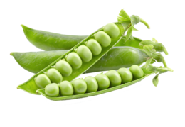 vegetables & Pea free transparent png image.