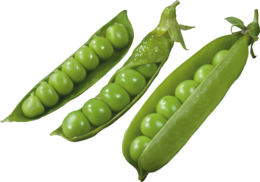 vegetables & pea free transparent png image.