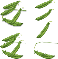 vegetables & Pea free transparent png image.