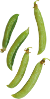 vegetables & pea free transparent png image.