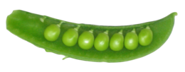 vegetables & Pea free transparent png image.