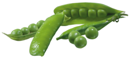 vegetables & Pea free transparent png image.