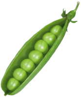 vegetables & Pea free transparent png image.