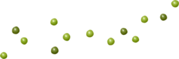 vegetables & Pea free transparent png image.