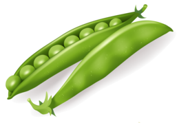 vegetables & pea free transparent png image.