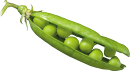 vegetables & Pea free transparent png image.