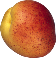 fruits & peach free transparent png image.