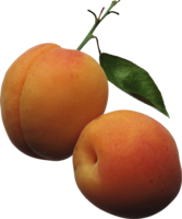 fruits & Peach free transparent png image.