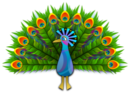 animals & Peacock free transparent png image.