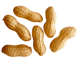 fruits&Peanut png image.