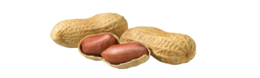 fruits & Peanut free transparent png image.