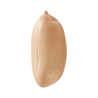 fruits & Peanut free transparent png image.