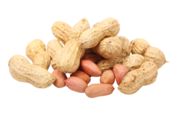 fruits & Peanut free transparent png image.