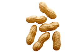 fruits & Peanut free transparent png image.