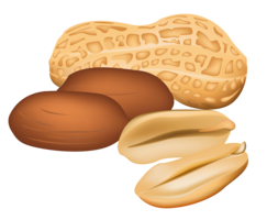 fruits & Peanut free transparent png image.