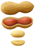 fruits & Peanut free transparent png image.