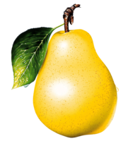 fruits & pear free transparent png image.