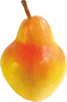 fruits & pear free transparent png image.