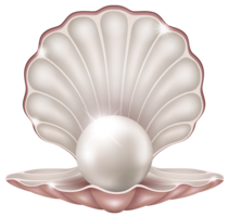 jewelry & Pearls free transparent png image.