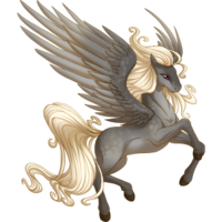 fantasy & Pegasus free transparent png image.