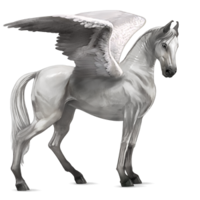 fantasy & Pegasus free transparent png image.