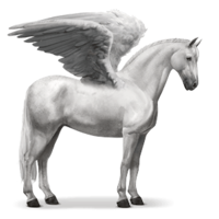 fantasy & Pegasus free transparent png image.