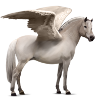 fantasy & Pegasus free transparent png image.