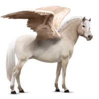 fantasy & Pegasus free transparent png image.