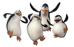 animals&Penguins png image.