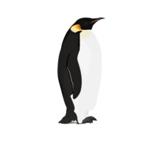 animals & penguins free transparent png image.