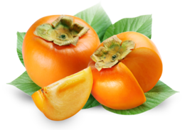 fruits & persimmon free transparent png image.