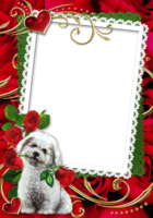 miscellaneous & Picture photo frame free transparent png image.