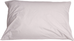 furniture & Pillow free transparent png image.