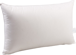 furniture & Pillow free transparent png image.