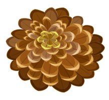 nature & Pine cone free transparent png image.