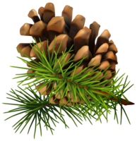 nature & Pine cone free transparent png image.