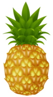 fruits&Pineapple png image.