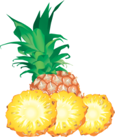 fruits & Pineapple free transparent png image.