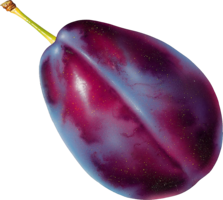 fruits & plum free transparent png image.