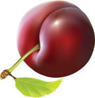 fruits & plum free transparent png image.