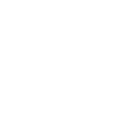 animals & polar bear free transparent png image.