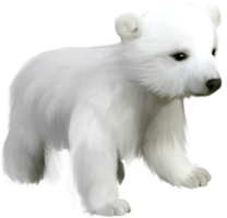 animals & polar bear free transparent png image.