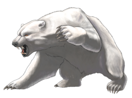 animals & polar bear free transparent png image.