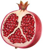 fruits & Pomegranate free transparent png image.