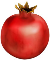 fruits & Pomegranate free transparent png image.