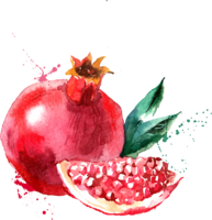 fruits & Pomegranate free transparent png image.